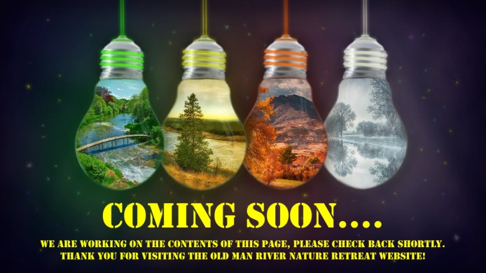 ComingSoonLightBulbs