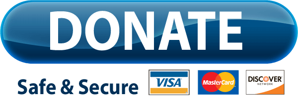 PayPal-Donate-Button-Free-Download-PNG